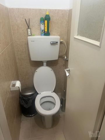 דרך הטכניון 36