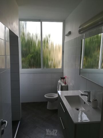 ויגודסקי 8
