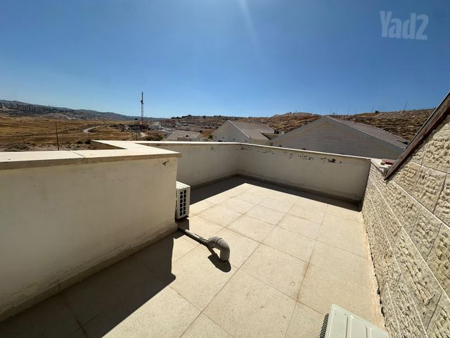 התאנה 1