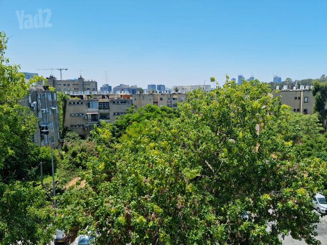 דירה להשכרה בתל אביב יפו — 2