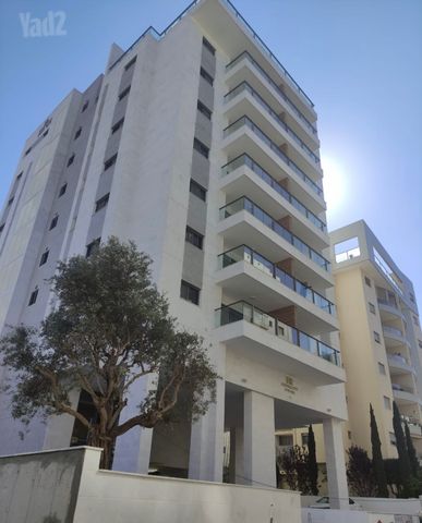 לבוצקין 12