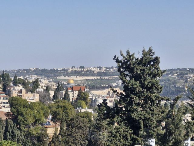 חנוך אלבק 4