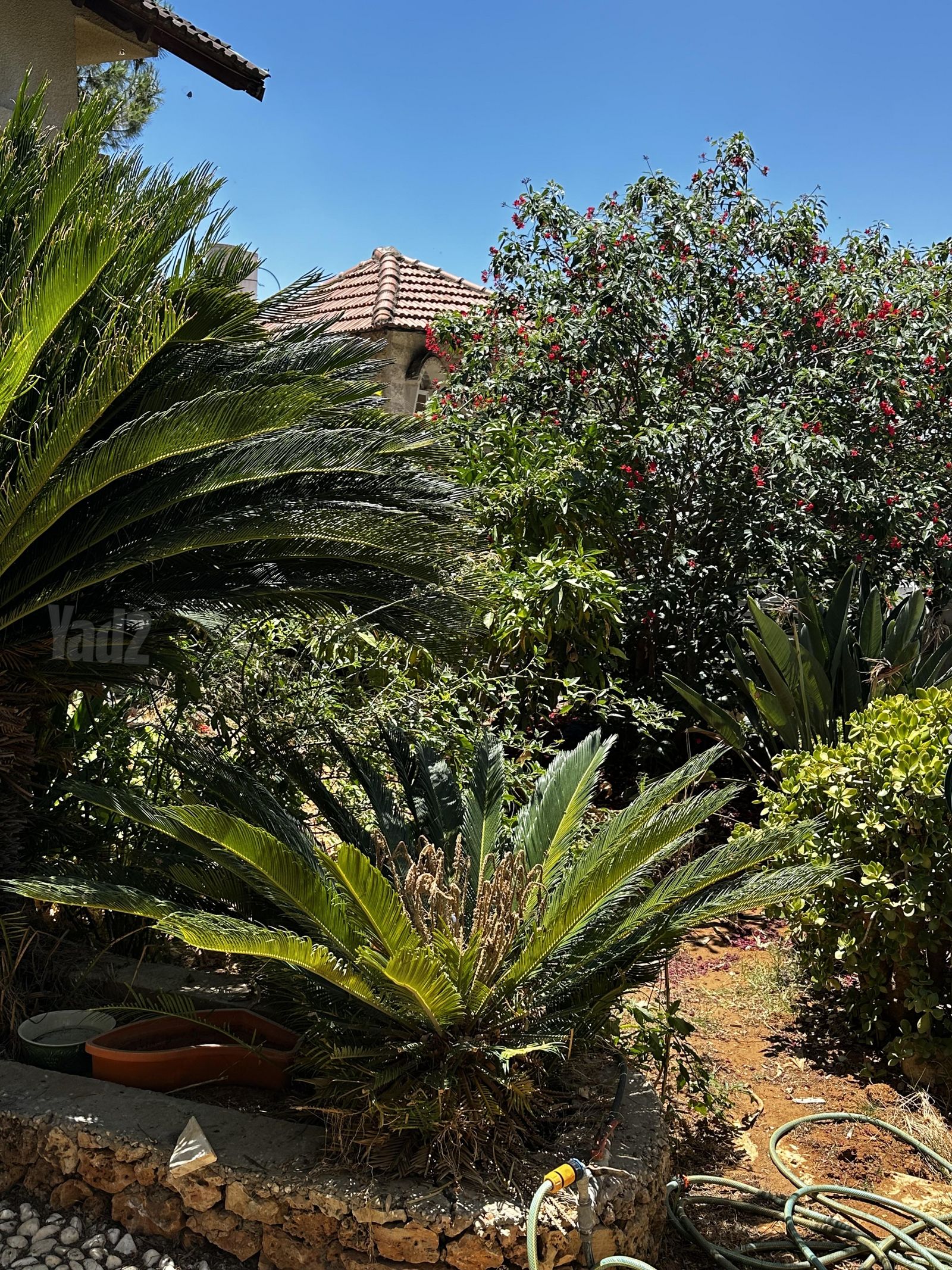 בית פרטי/ קוטג', דן 204, מעלה שומרון, קרני שומרון
