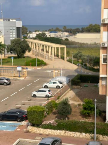 הדקל 16