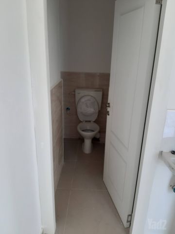 נורדאו 19