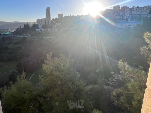שח"ל 55