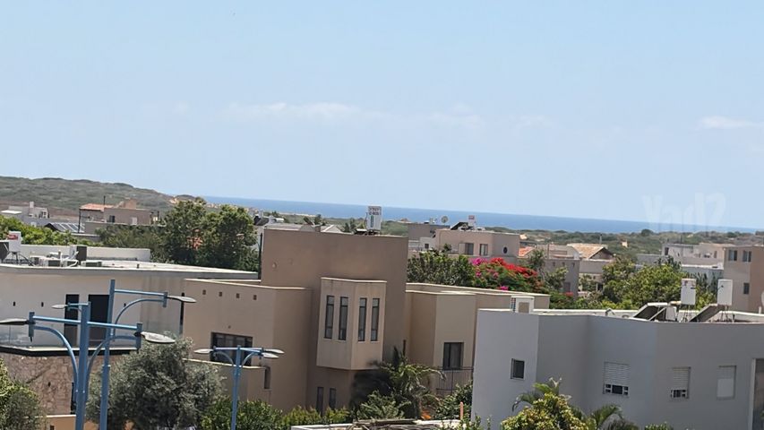 ארזי הלבנון 18