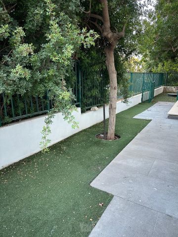 נורית 8