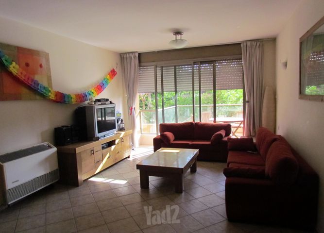 דוד צדוק 37