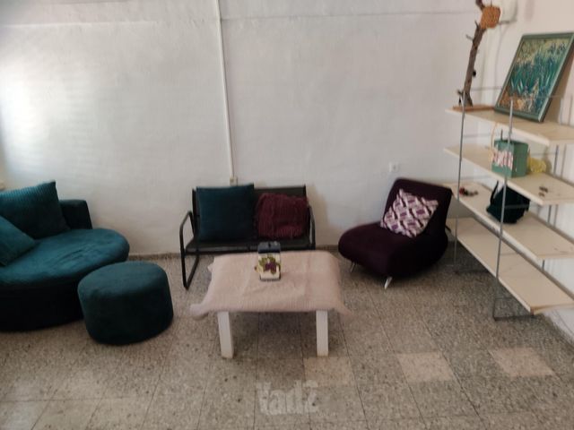 איילת השחר 3