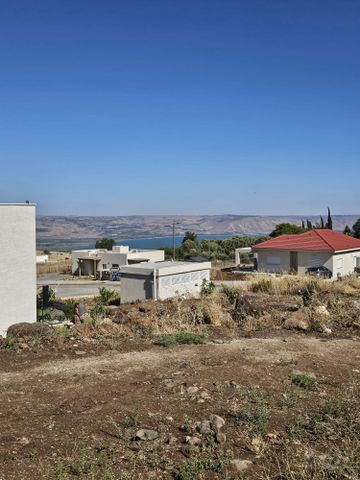שיזף 4