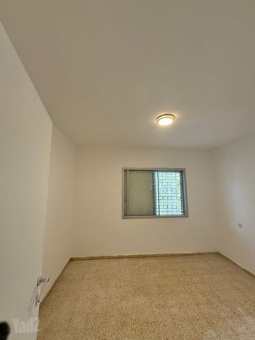 לוי אשכול 459