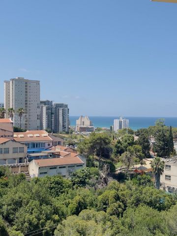 דוד בר רב האי