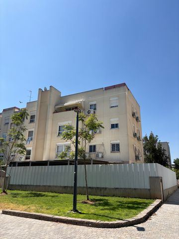 כוכב הצפון
