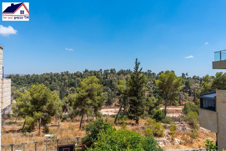 אורן 