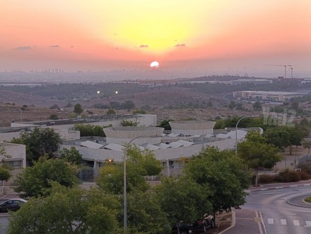 דוד אלעזר 