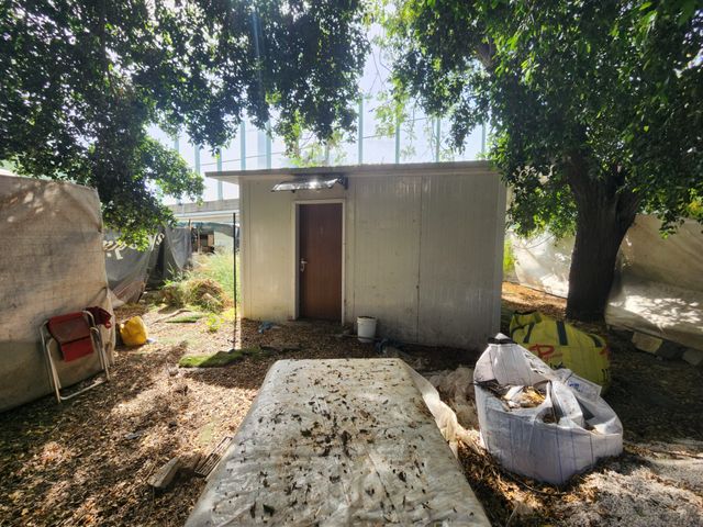 התפוצות 