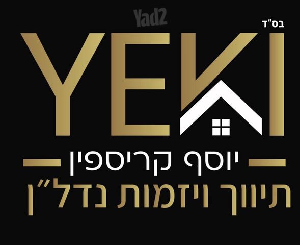 דוד וולפסון 11