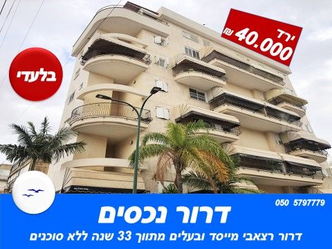 דוד וולפסון 50