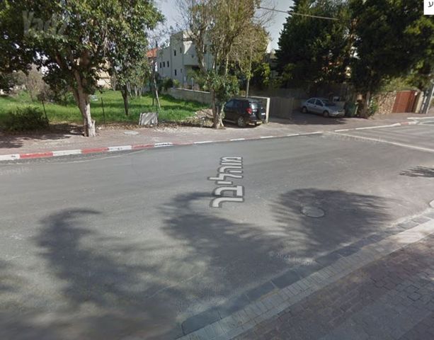מוהליבר 