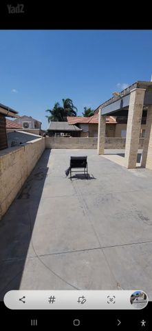 הדקל 