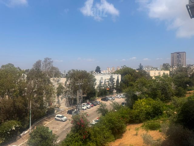 אורן 10