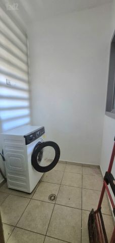 נצר חזני 