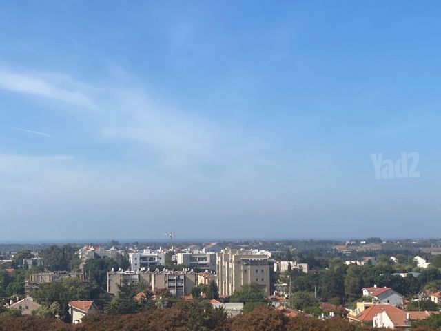 נווה זמר