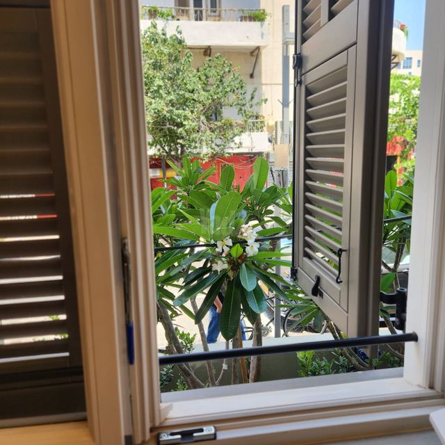 תמונה 5 של דירת 2 חדרים להשכרה בתל אביב יפו
