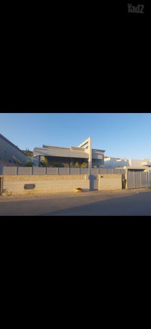 קומראן 31