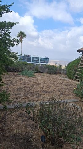 חיים משה שפירא 24