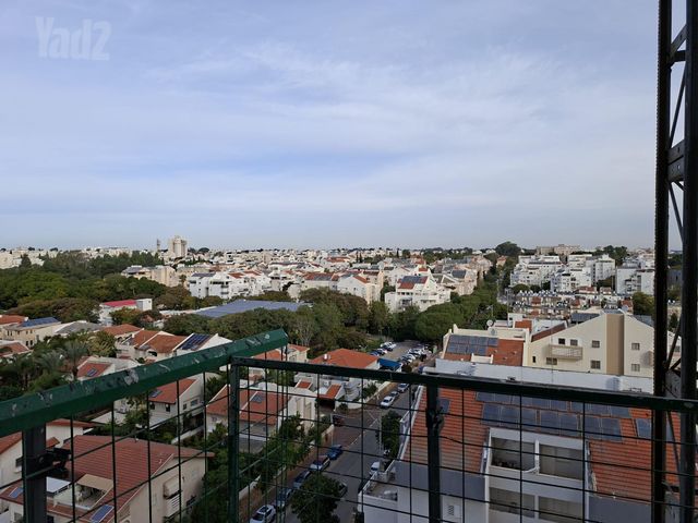 רופין 32