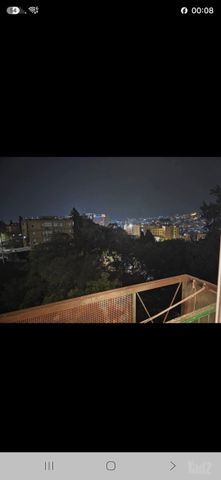 רימון 1