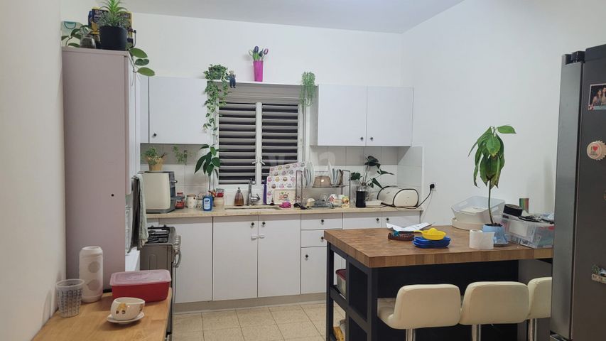 שועלי שמשון 4