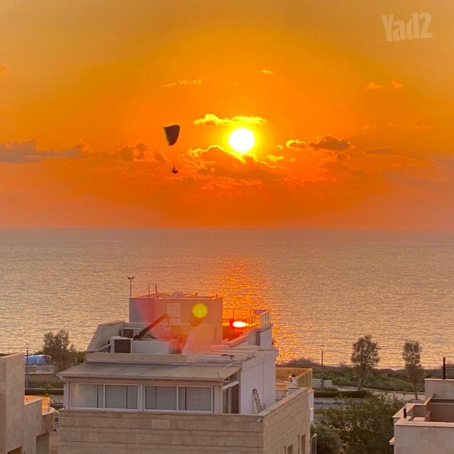 פייר קניג 27