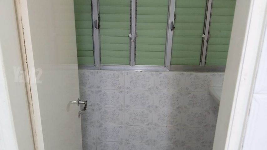 פיינשטיין 5
