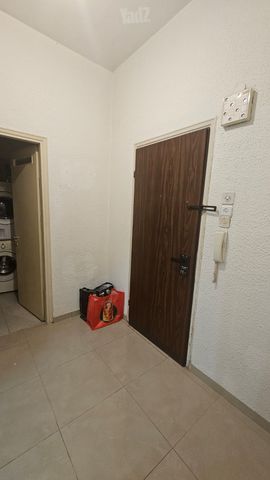 תמונה 3 של דירת 2 חדרים להשכרה בתל אביב יפו