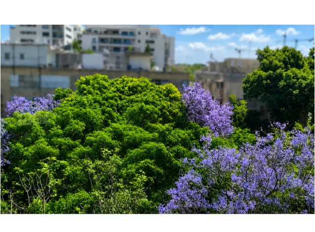 דירה, יגור 22, יד אליהו, תל אביב יפו