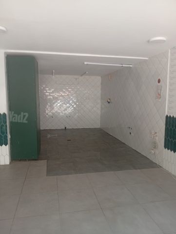 הרברט סמואל 76