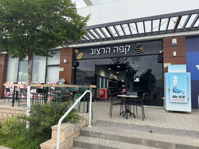 רחל לייפר מילר 17