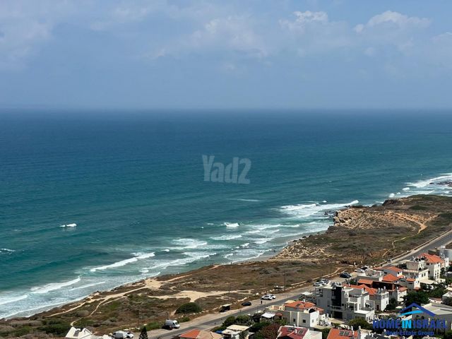 חוף הזהב-חבצלת