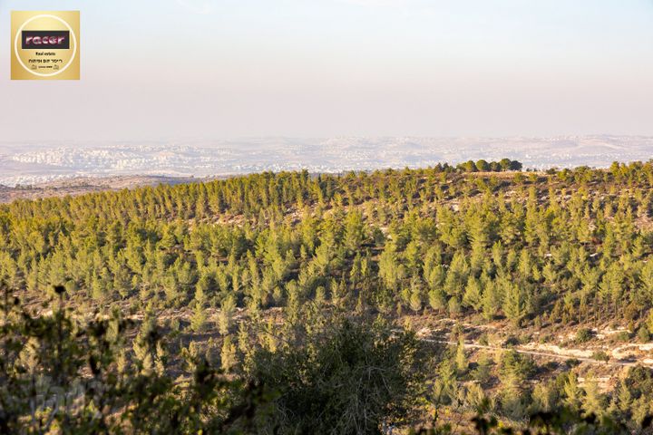 בית פרטי/ קוטג' למכירה בשורש (תיווך) — 4