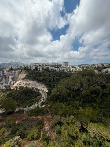ליאון בלום