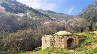 עמיקם שמאי 31