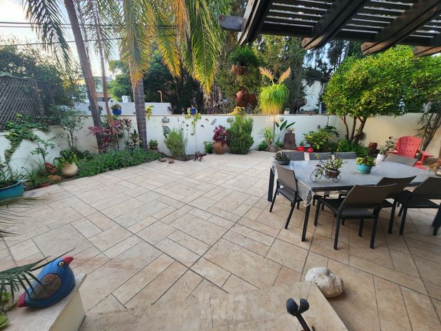 ד"ר אליהו 