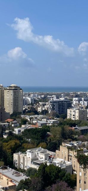 הצפון החדש - כיכר המדינה