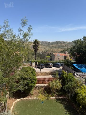 הסנונית 