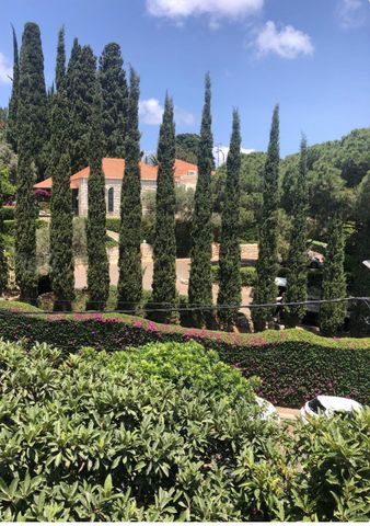 שפרה 