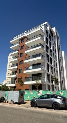 ברוש 2