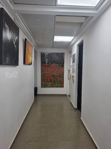 אוסישקין 
